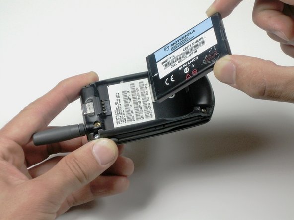 Image #2