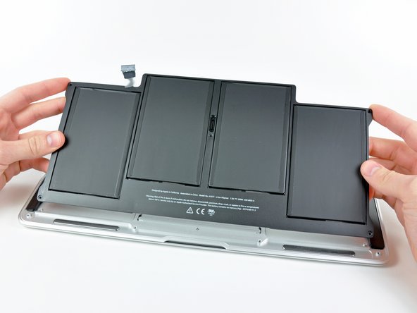Image #1