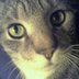 aliciabarnard's Avatar