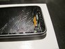 aleksander's Story Photo #219787