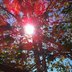 User Avatar Image