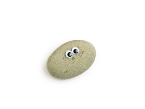 Pet Rock