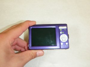 Case