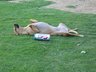 butchjoiner's Story Photo #216406