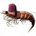 User Avatar Image
