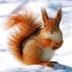 User Avatar Image