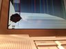 Luca Vetturi's Story Photo #154792