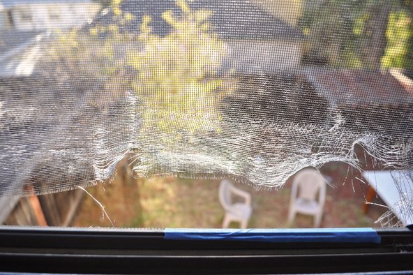 Broken window screen