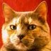 mattchughes's Avatar