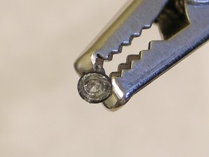 sjking's Story Photo #1155638