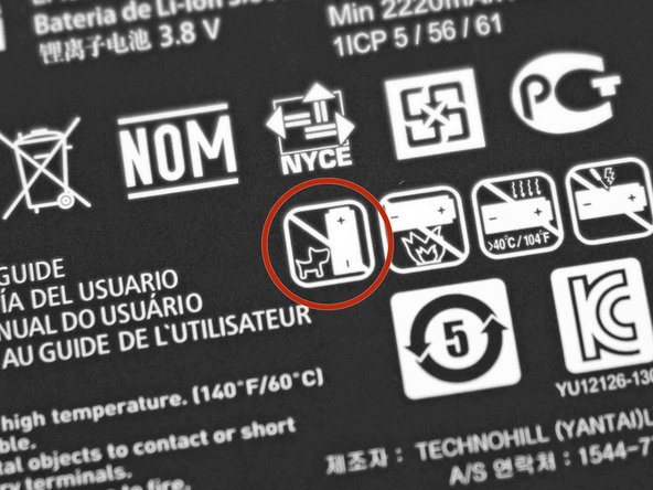 We're pretty sure this warning icon indicates that it's unsafe to let pets smaller than this battery anywhere near it.