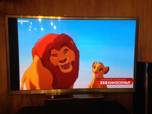 Vertical flickering stripe on a samsung plasma tv - Samsung plasma TV