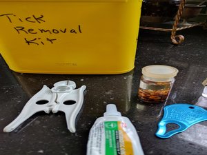 Netmammal Published a Story