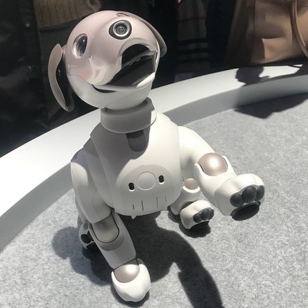 robot dog by sony