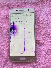 Phone got wet and purple blotches shown up on screen, how do I fix it