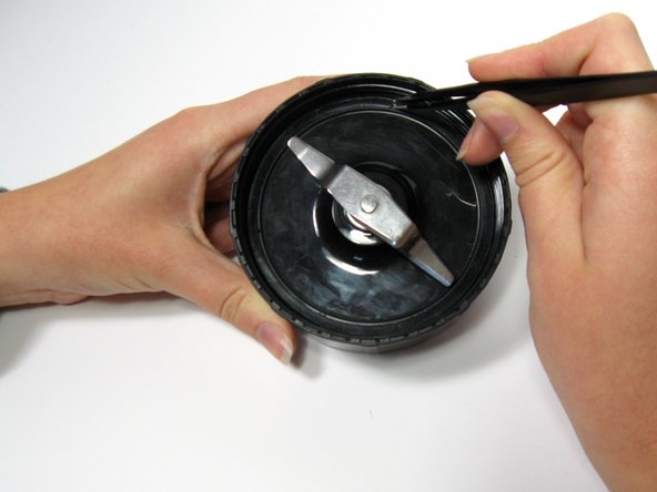 magic bullet replacement gasket