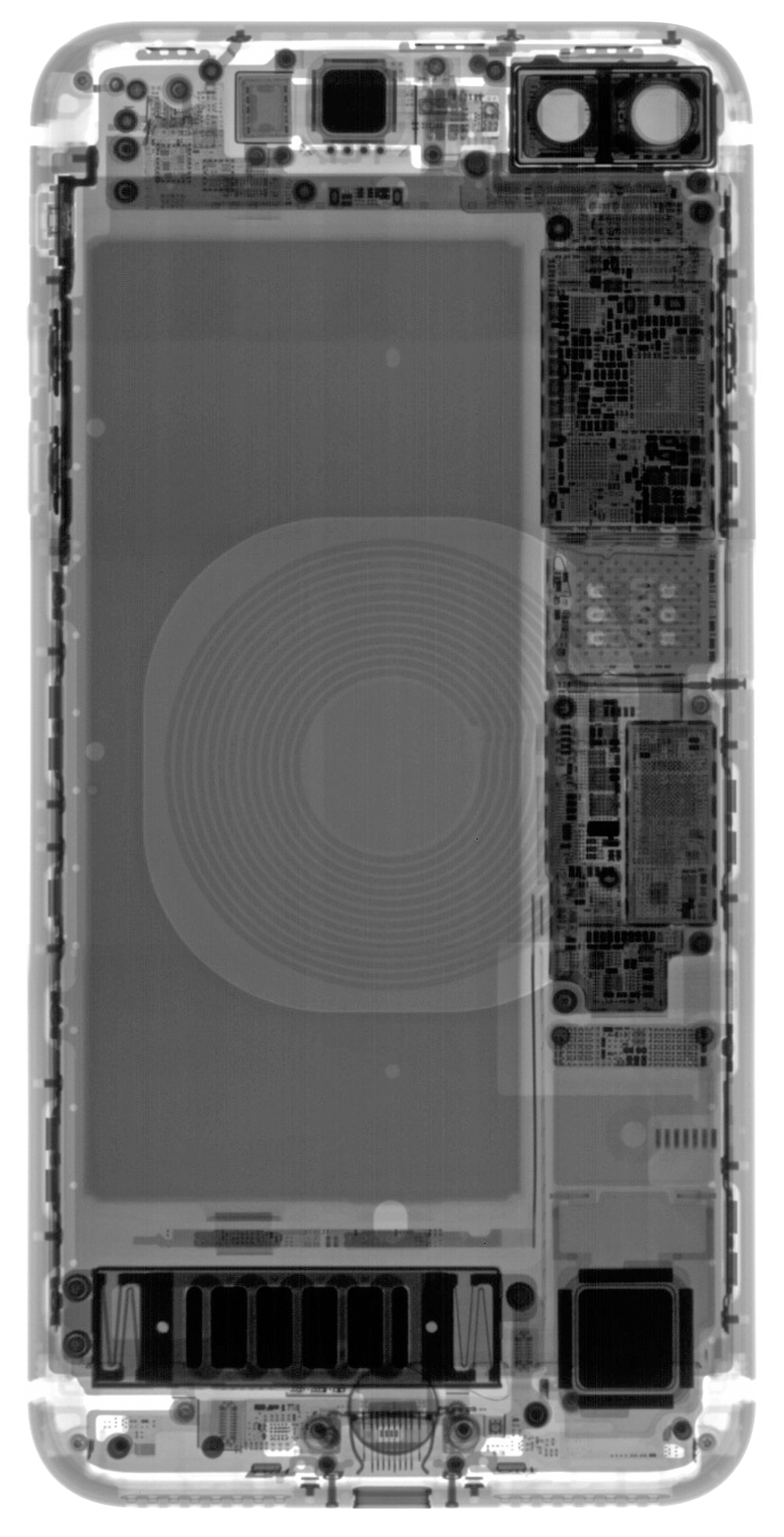 Iphone 8シリーズ 本体内部が透けてるような壁紙をifixitが公開 私設apple委員会