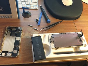 Tamer's Story Photo #1352444