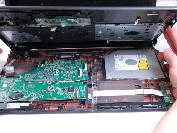 قطع کردن پالم رست