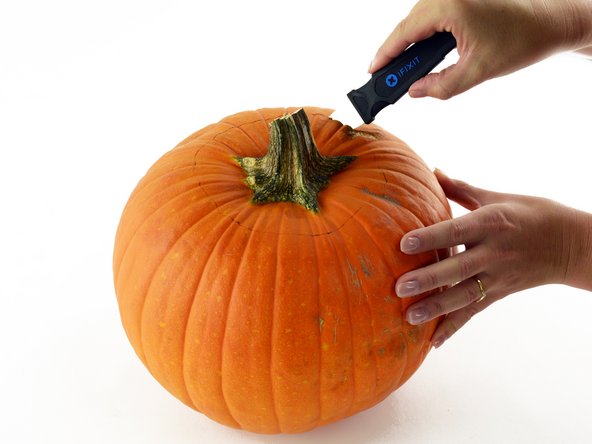 cutting open the pumpkin with an iFixit jimmy