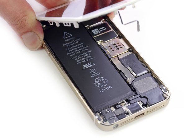 Image 3/3: Alas, our first peek at the internal layout of the 5s. Comparing it to the [guide|10525|iPhone 5|stepid=38280], we spot very few differences, the main one being the lack of a battery removal pull-tab.