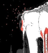 Macbook pro firmware restoration cd 1.3 for mac download