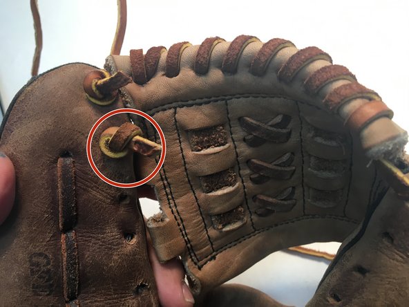 baseball glove web replacement