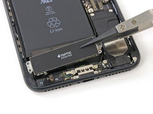 Reemplazo del Motor Táptico del iPhone 7 Plus