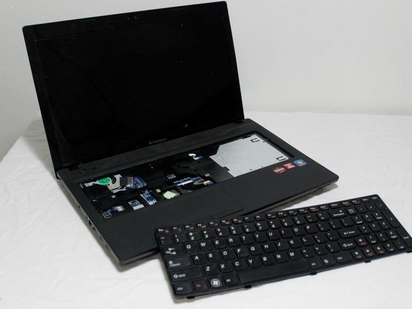 Image #1