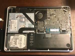 Gavin Hobbs's Story Photo #1191523